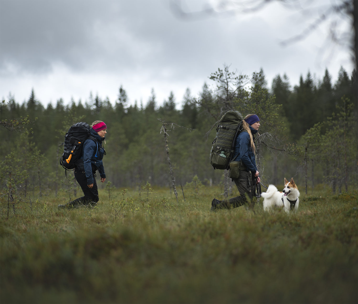 Hiking in Urho Kekkonen National Park