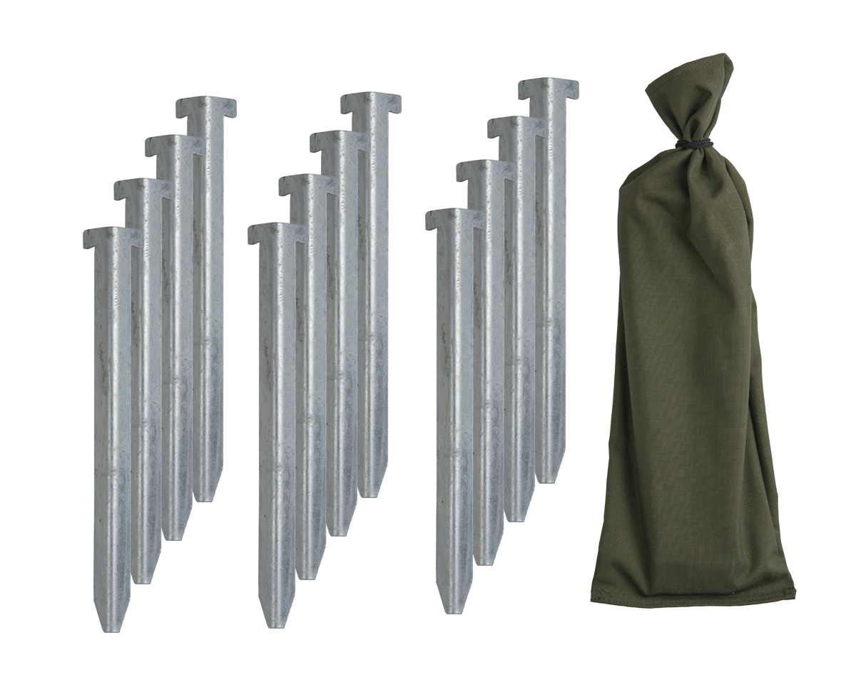 Tent stake set